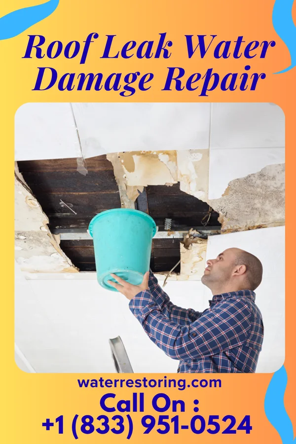 Roof Leak Water Damage Repair in Lawtey, FL